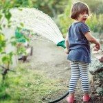 How To Water Your Garden More Sustainably and Effectively Than Ever